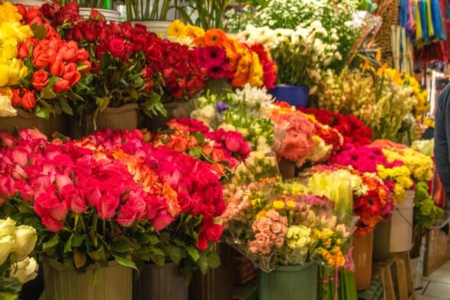 comprar flores frescas en Alemania